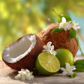 Coconut Lime Verbana Fragrance Oil fragrance oil bottle
