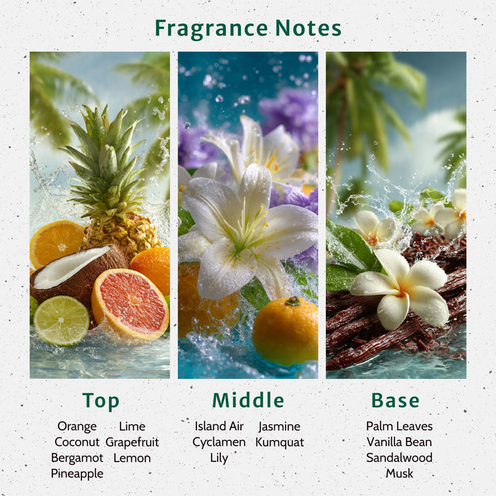 Coconut Lime Verbana Fragrance Oil lifestyle product image