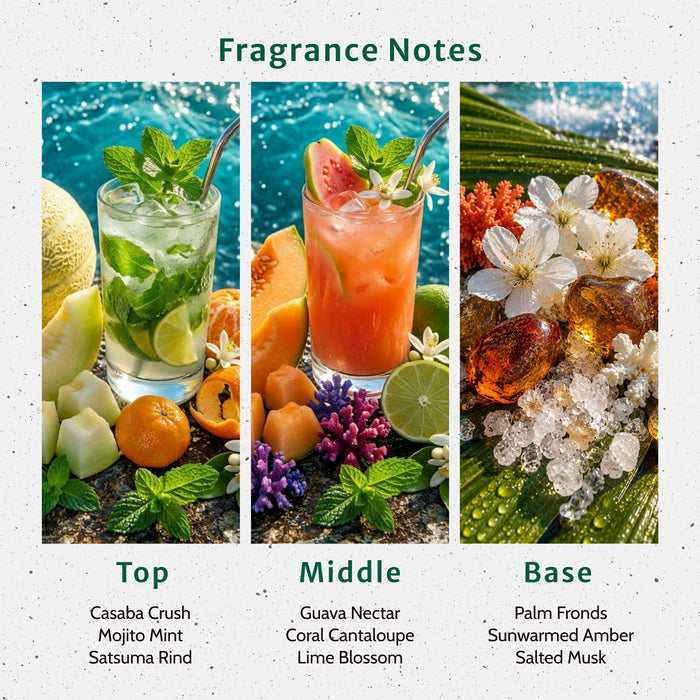 Coral Crush Fragrance Oil