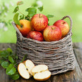 Country Apple Fragrance Oil fragrance oil bottle