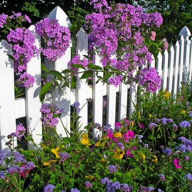 Country Garden Fragrance Oil fragrance oil bottle