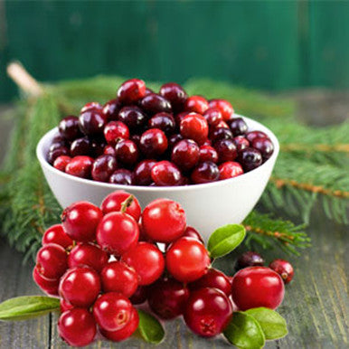 Cranberry Balsam Fragrance Oil fragrance oil bottle