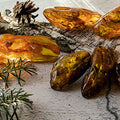Crystal Amber Fragrance Oil fragrance oil bottle