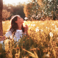 Dandelion Wishes Fragrance Oil fragrance oil bottle