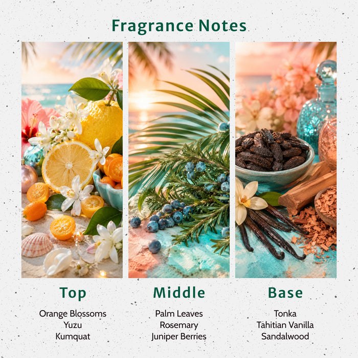 Deck the Palms Fragrance Oil