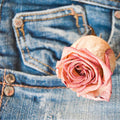 Denim Fragrance Oil fragrance oil bottle