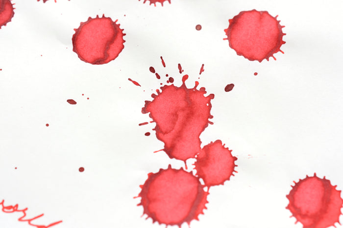Diamine Blue Edition - Ho Ho Ho
