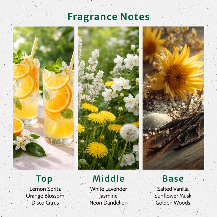 Disco Dandelion Fragrance Oil lifestyle product image