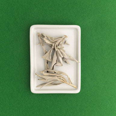 Dried White Sage Incense Leaves fragrance oil bottle