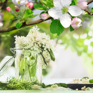 Elderflower and Apple Blossoms Fragrance Oil fragrance oil bottle