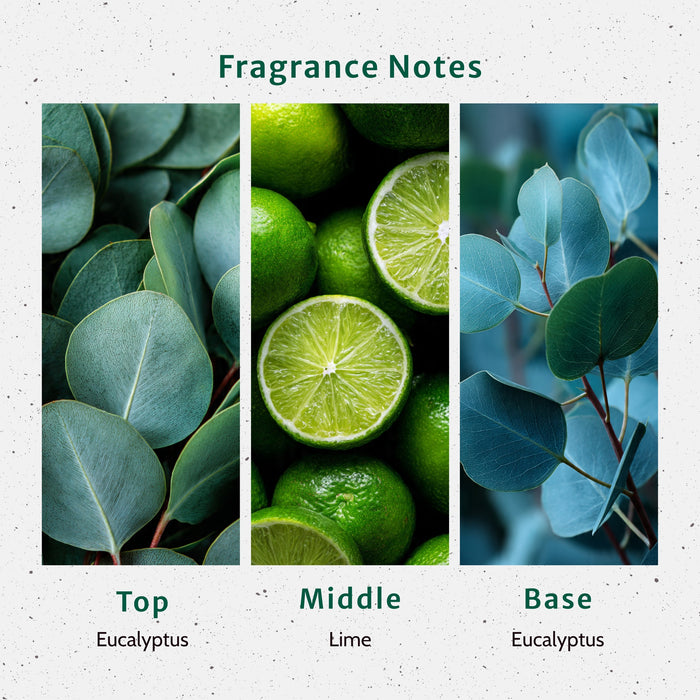 Eucalyptus Fragrance Oil lifestyle product image