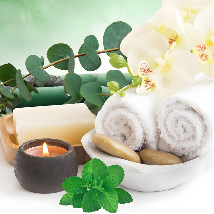 Eucalyptus & Spearmint Fragrance Oil fragrance oil bottle