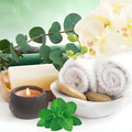 Eucalyptus & Spearmint Fragrance Oil fragrance oil bottle
