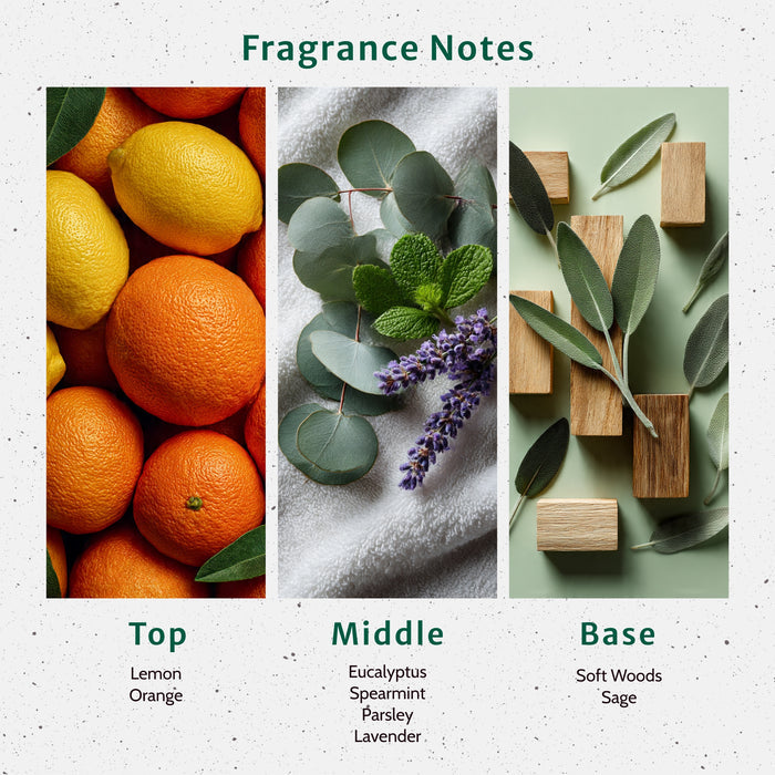 Eucalyptus & Spearmint Fragrance Oil fragrance oil bottle