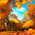 Falling for Fall Fragrance Oil fragrance oil bottle