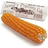 Farmer's Popcorn Cob