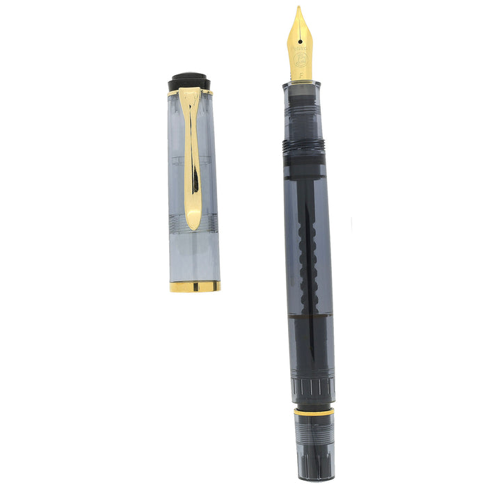 FIRST YEAR 2002 PELIKAN M200 ANTHRACITE TRANSPARENT FOUNTAIN PEN NEVER INKED DISCONTINUED OFFERED BY ANTIQUE DIGGER
