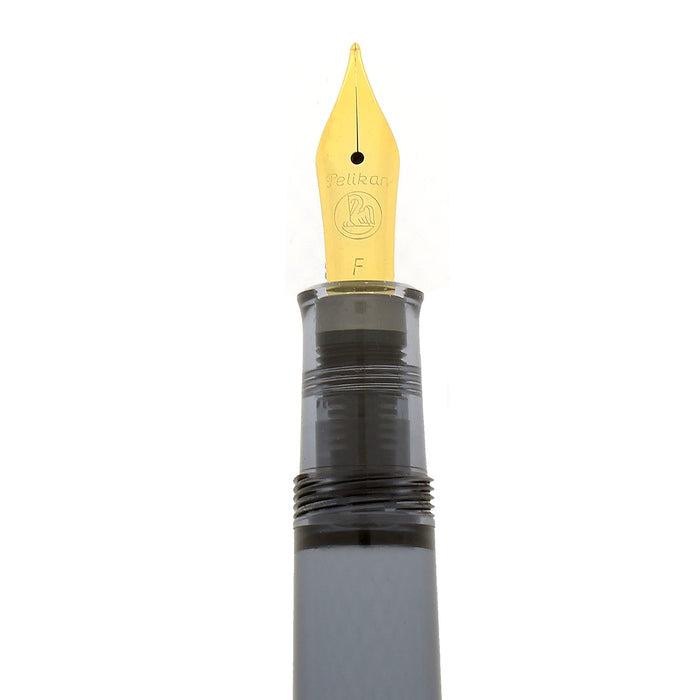 FIRST YEAR 2002 PELIKAN M200 ANTHRACITE TRANSPARENT FOUNTAIN PEN NEVER INKED DISCONTINUED OFFERED BY ANTIQUE DIGGER