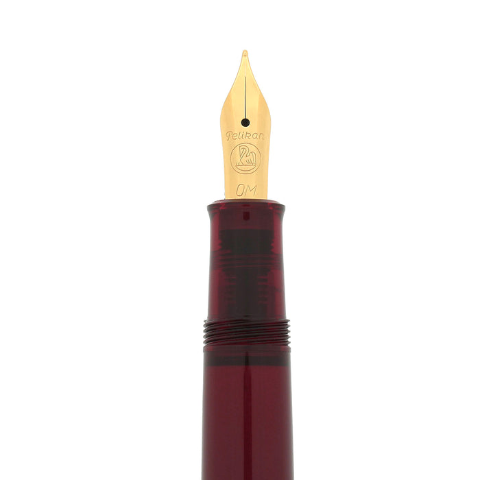 FIRST YEAR 2002 PELIKAN M200 RED TRANSPARENT FOUNTAIN PEN NEW IN BOX NEVER INKED DISCONTINUED OFFERED BY ANTIQUE DIGGER