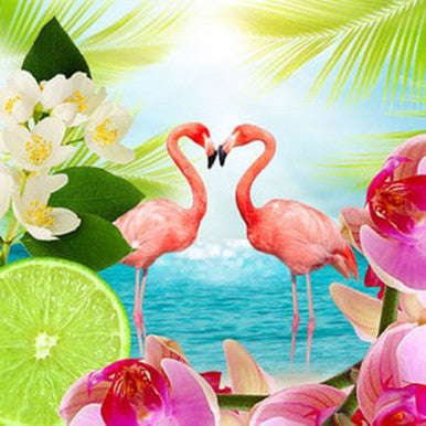 Flamingo Zest Fragrance Oil fragrance oil bottle