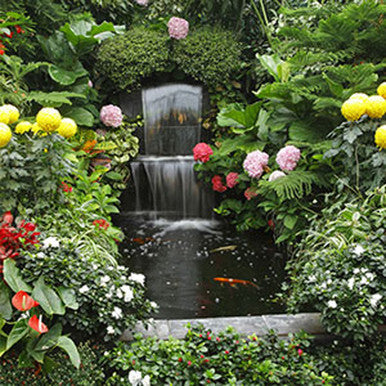 Fountain of Youth Fragrance Oil fragrance oil bottle
