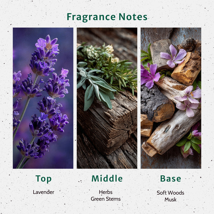 French Lavender Fragrance Oil fragrance oil bottle