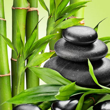 Fresh Bamboo Fragrance Oil fragrance oil bottle