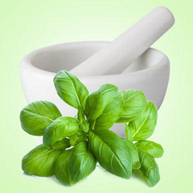 Fresh Basil Fragrance Oil fragrance oil bottle
