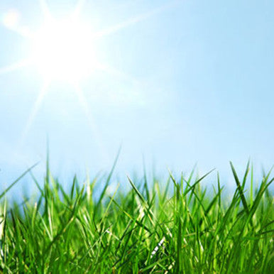 Fresh Cut Grass Fragrance Oil fragrance oil bottle