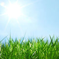 Fresh Cut Grass Fragrance Oil fragrance oil bottle