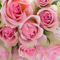 Fresh Cut Roses Fragrance Oil fragrance oil bottle