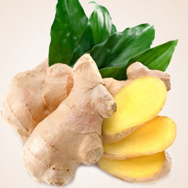 Fresh Ginger Fragrance Oil fragrance oil bottle