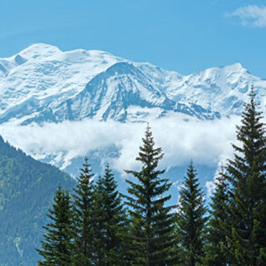 Frosted Peak Tops Fragrance Oil fragrance oil bottle