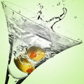 Gin Martini Fragrance Oil fragrance oil bottle