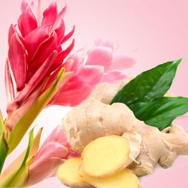 Ginger Aura Fragrance Oil fragrance oil bottle