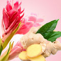 Ginger Aura Fragrance Oil fragrance oil bottle