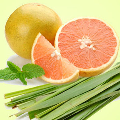Grapefruit Lemongrass Energize Fragrance Oil fragrance oil bottle