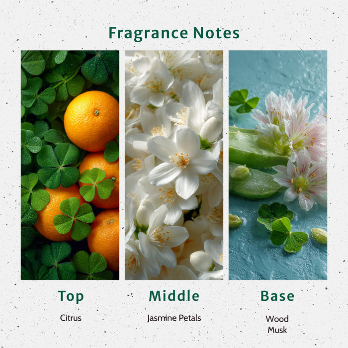 Green Clover and Aloe Fragrance Oil lifestyle product image
