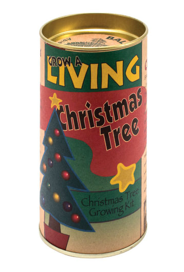 Grow A Christmas Tree