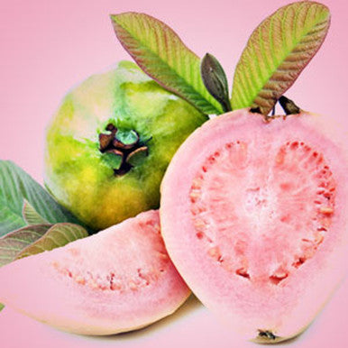 Guava Fragrance Oil fragrance oil bottle