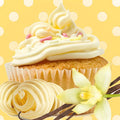 Happy Birthday Vanilla Cupcake Fragrance Oil fragrance oil bottle