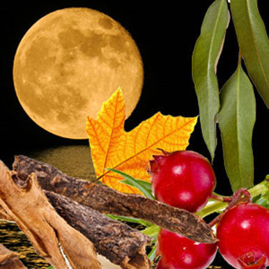 Harvest Moon Fragrance Oil fragrance oil bottle