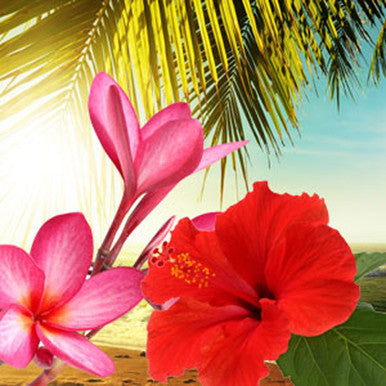 Hawaiian Sea Mist Fragrance Oil fragrance oil bottle