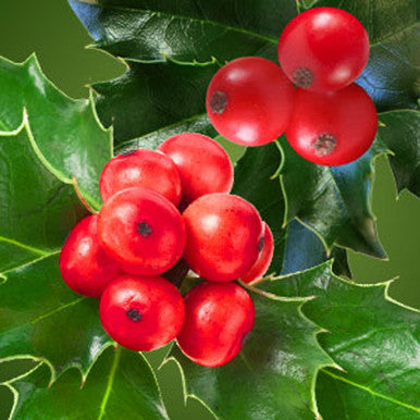 Holly Berry Fragrance Oil fragrance oil bottle