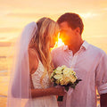 Honeymoon Romance Fragrance Oil fragrance oil bottle