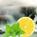 Ice Capade Fragrance Oil fragrance oil bottle