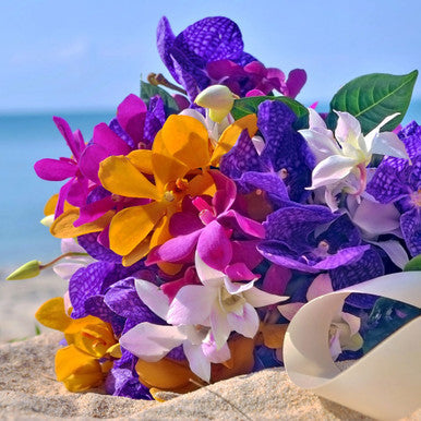 Island Petals Fragrance Oil fragrance oil bottle