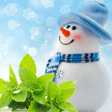 Jack Frost Fragrance Oil fragrance oil bottle