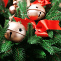 Jingle Bells Fragrance Oil fragrance oil bottle