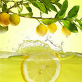 Juicy Lemon  Fragrance Oil fragrance oil bottle